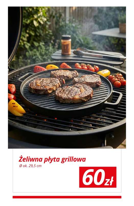 KiK - gazetka promocyjna Rodzinny grill w ogrodzie! od wtorku 14.04  - strona 2