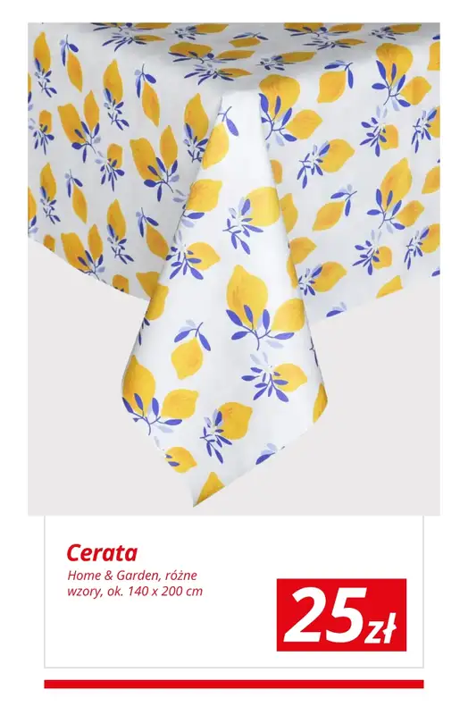 KiK - gazetka promocyjna Rodzinny grill w ogrodzie! od wtorku 14.04  - strona 6