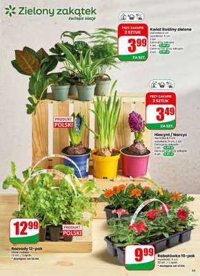 Dino - gazetka promocyjna Gazetka 16 / 2026 od środy 15.04 do wtorku 21.04 - strona 55