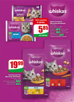 Dino - gazetka promocyjna Gazetka 16 / 2026 od środy 15.04 do wtorku 21.04 - strona 63