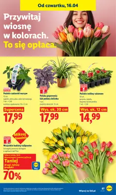 Lidl - gazetka promocyjna Oferta od czwartku od czwartku 16.04 do soboty 18.04 - strona 87