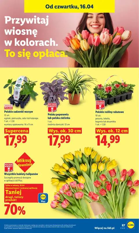 Lidl - gazetka promocyjna Oferta od czwartku od czwartku 16.04 do soboty 18.04 - strona 87