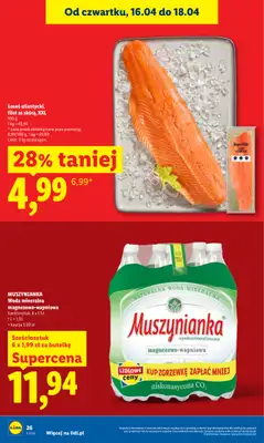 Lidl - gazetka promocyjna Oferta od czwartku od czwartku 16.04 do soboty 18.04 - strona 26