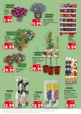 Kaufland - gazetka promocyjna Oferta Kaufland - Ogród od czwartku 16.04 do środy 22.04 - strona 11