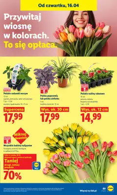 Lidl - gazetka promocyjna Oferta od czwartku od czwartku 16.04 do soboty 18.04 - strona 93