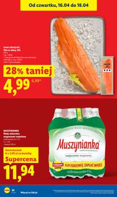 Lidl - gazetka promocyjna Oferta od czwartku od czwartku 16.04 do soboty 18.04 - strona 28