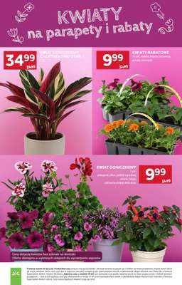 Stokrotka - gazetka promocyjna Gazetka Market od czwartku 16.04 do środy 22.04 - strona 7