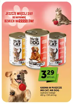 Euro Sklep - gazetka promocyjna Gazetka Market  do środy 22.04 - strona 21