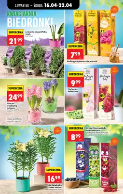 Biedronka - gazetka promocyjna Od czwartku, Z ladą tradycyjną od czwartku 16.04 do środy 22.04 - strona 43