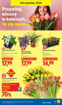 Lidl - gazetka promocyjna Oferta od czwartku od czwartku 16.04 do soboty 18.04 - strona 97