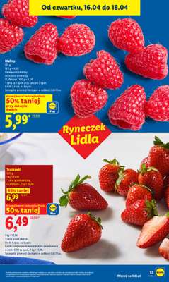 Lidl - gazetka promocyjna Oferta od czwartku od czwartku 16.04 do soboty 18.04 - strona 55