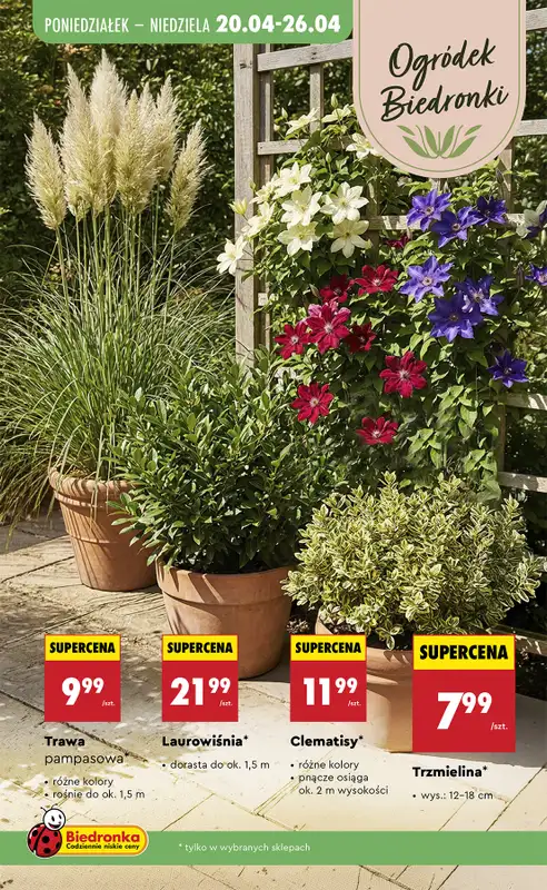 Biedronka - gazetka promocyjna Hity i inspiracje, od 18.04 od soboty 18.04 do środy 06.05 - strona 5