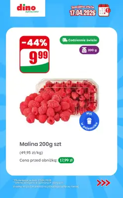 Dino - gazetka promocyjna Specjalna oferta na 17.04.2026 - promocje spoza gazetki od piątku 17.04 do piątku 17.04 - strona 2