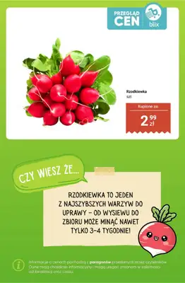 Dino - gazetka promocyjna Owoce i warzywa - przegląd cen i ciekawostki od poniedziałku 20.04 do niedzieli 26.04 - strona 9