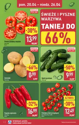 Aldi - gazetka promocyjna Pełny katalog! od poniedziałku 20.04 do niedzieli 26.04 - strona 2