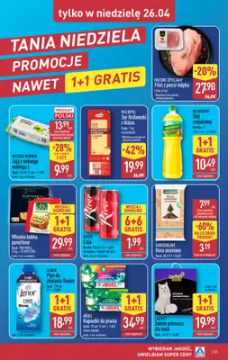 Aldi - gazetka promocyjna Pełny katalog! od poniedziałku 20.04 do niedzieli 26.04 - strona 41