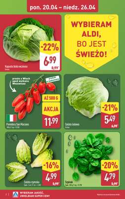 Aldi - gazetka promocyjna Pełny katalog! od poniedziałku 20.04 do niedzieli 26.04 - strona 4