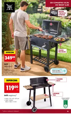 Biedronka - gazetka promocyjna Hity i inspiracje, od 20.04 od poniedziałku 20.04 do środy 13.05 - strona 15