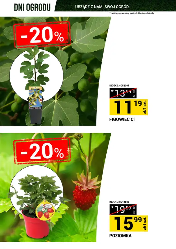 Merkury Market - gazetka promocyjna Gazetka Dni Ogrodu od soboty 18.04 do niedzieli 26.04 - strona 2