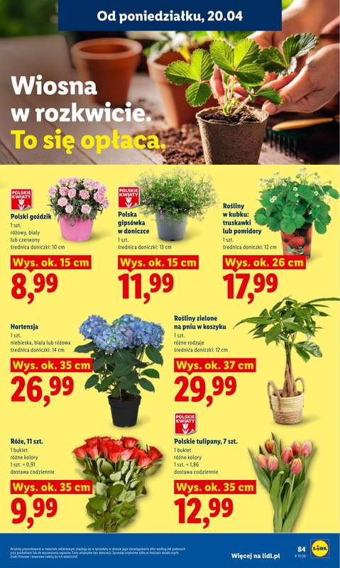 Lidl - gazetka promocyjna Oferta od poniedziałku od poniedziałku 20.04 do środy 22.04 - strona 87