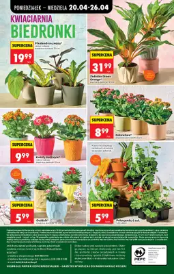 Biedronka - gazetka promocyjna Od poniedziałku, Z ladą tradycyjną od poniedziałku 20.04 do niedzieli 26.04 - strona 84