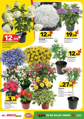 Bricomarche - gazetka promocyjna Gazetka  do soboty 02.05 - strona 10