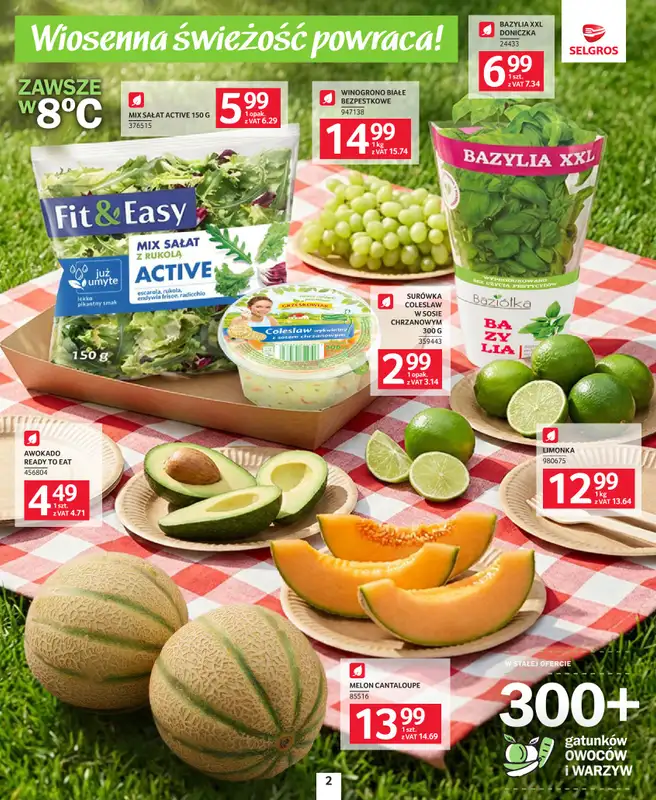 Selgros - gazetka promocyjna Katalog grillowanie   - strona 2