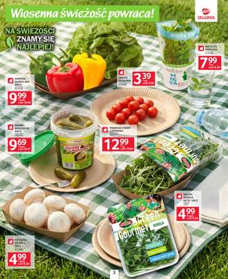 Selgros - gazetka promocyjna Katalog grillowanie od czwartku 23.04 do środy 06.05 - strona 3