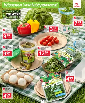 Selgros - gazetka promocyjna Katalog grillowanie od czwartku 23.04 do środy 06.05 - strona 3