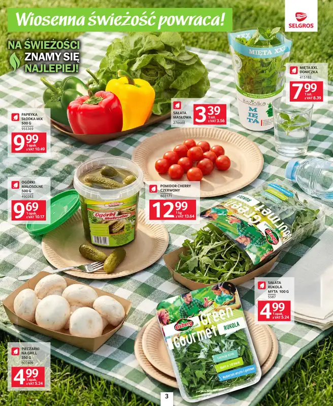 Selgros - gazetka promocyjna Katalog grillowanie   - strona 3