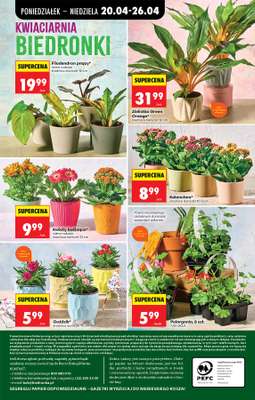 Biedronka - gazetka promocyjna Od poniedziałku od poniedziałku 20.04 do niedzieli 26.04 - strona 108