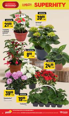 POLOmarket - gazetka promocyjna Gazetka od środy 22.04 do wtorku 28.04 - strona 24