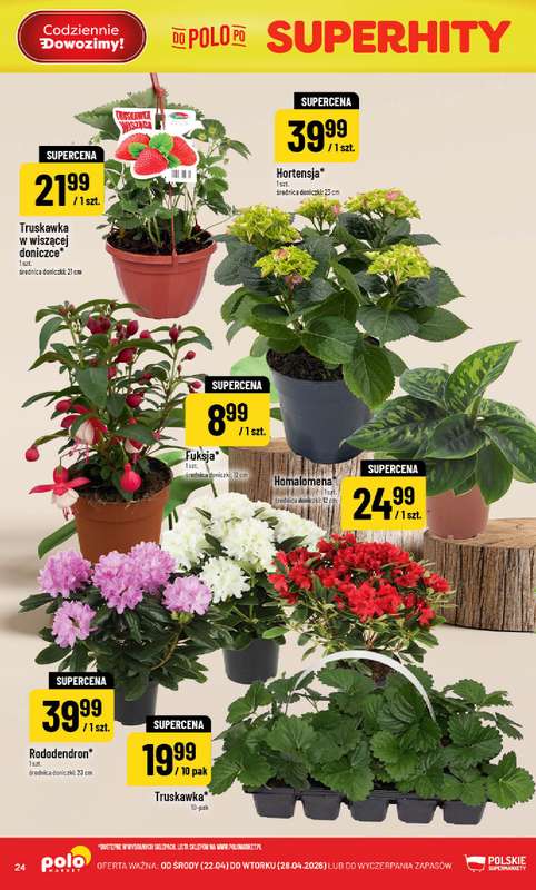 POLOmarket - gazetka promocyjna Gazetka od środy 22.04 do wtorku 28.04 - strona 24