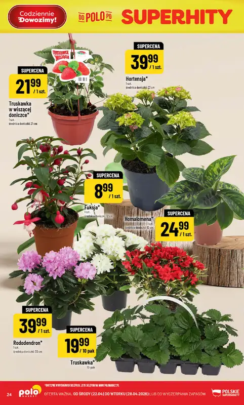 POLOmarket - gazetka promocyjna Gazetka od środy 22.04 do wtorku 28.04 - strona 24