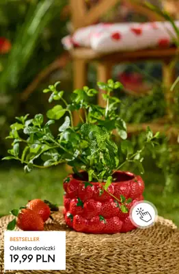 Sinsay - gazetka promocyjna Kolekcja Fruits & Veggie od poniedziałku 20.04 do niedzieli 26.04 - strona 26