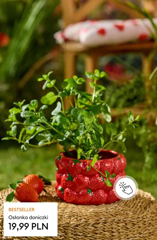 Sinsay - gazetka promocyjna Kolekcja Fruits & Veggie od poniedziałku 20.04 do niedzieli 26.04 - strona 26