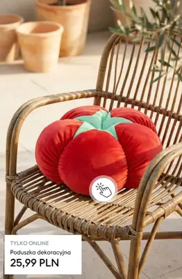 Sinsay - gazetka promocyjna Kolekcja Fruits & Veggie od poniedziałku 20.04 do niedzieli 26.04 - strona 21