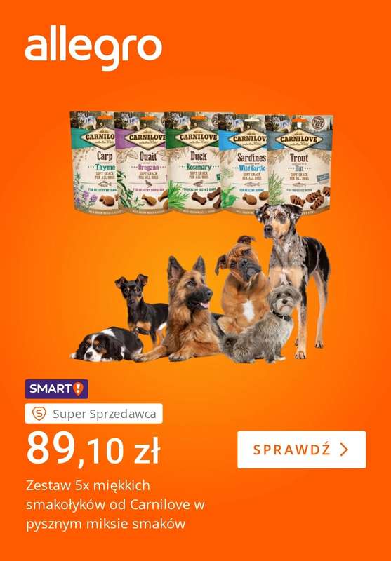 Allegro - gazetka promocyjna Zapasy dla Twojego pupila od wtorku 21.04 do poniedziałku 27.04 - strona 4