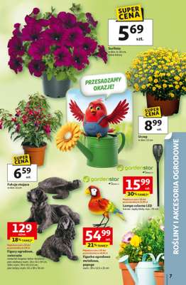 Auchan - gazetka promocyjna Gazetka 30 Lat Hipermarket Auchan od czwartku 23.04 do wtorku 28.04 - strona 7