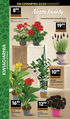 Delikatesy Centrum - gazetka promocyjna Gazetka  do środy 29.04 - strona 12