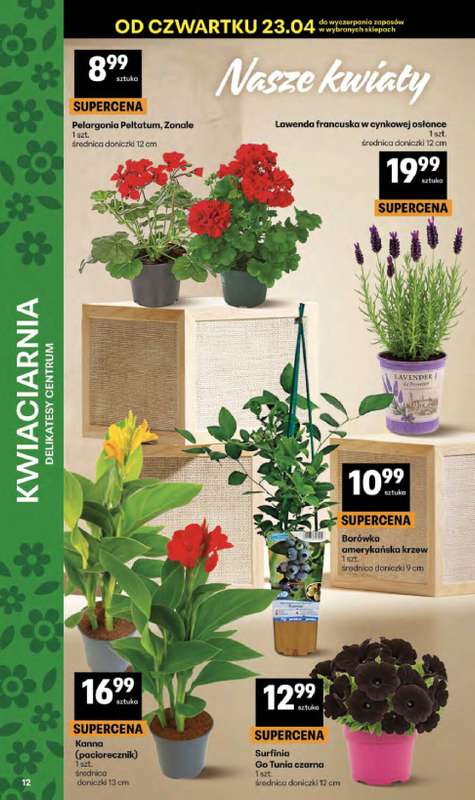Delikatesy Centrum - gazetka promocyjna Gazetka  do środy 29.04 - strona 12