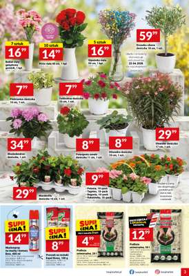 Twój Market - gazetka promocyjna Gazetka od środy 22.04 do poniedziałku 27.04 - strona 3