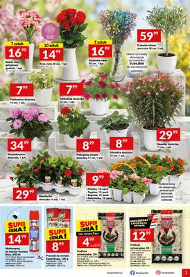 Twój Market - gazetka promocyjna Gazetka od środy 22.04 do poniedziałku 27.04 - strona 3