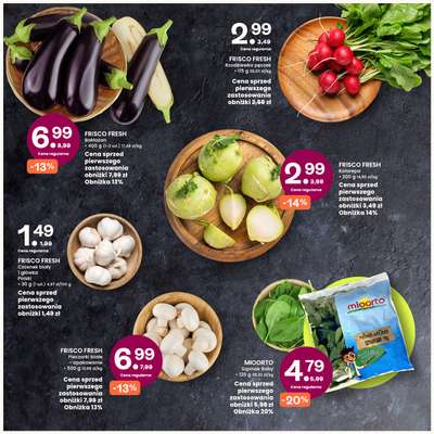 FRISCO FRESH Czosnek biały 1 główka