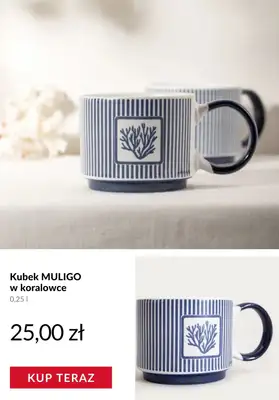 Homla - gazetka promocyjna Naczynia na każdą okazję od wtorku 21.04  - strona 11