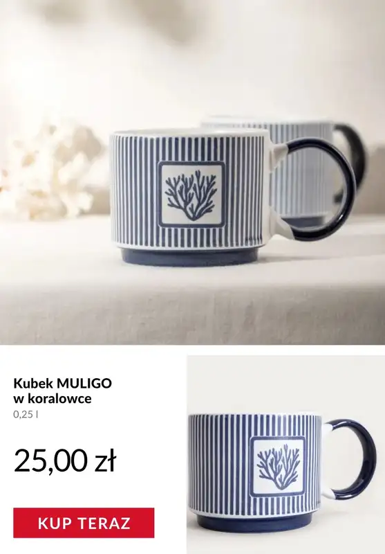 Homla - gazetka promocyjna Naczynia na każdą okazję od wtorku 21.04  - strona 11