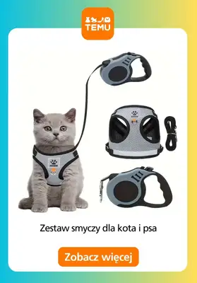 Temu - gazetka promocyjna Akcesoria dla zwierząt od wtorku 21.04  - strona 13