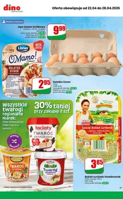 Dino - gazetka promocyjna MEGA promocje! od środy 22.04 do wtorku 28.04 - strona 10
