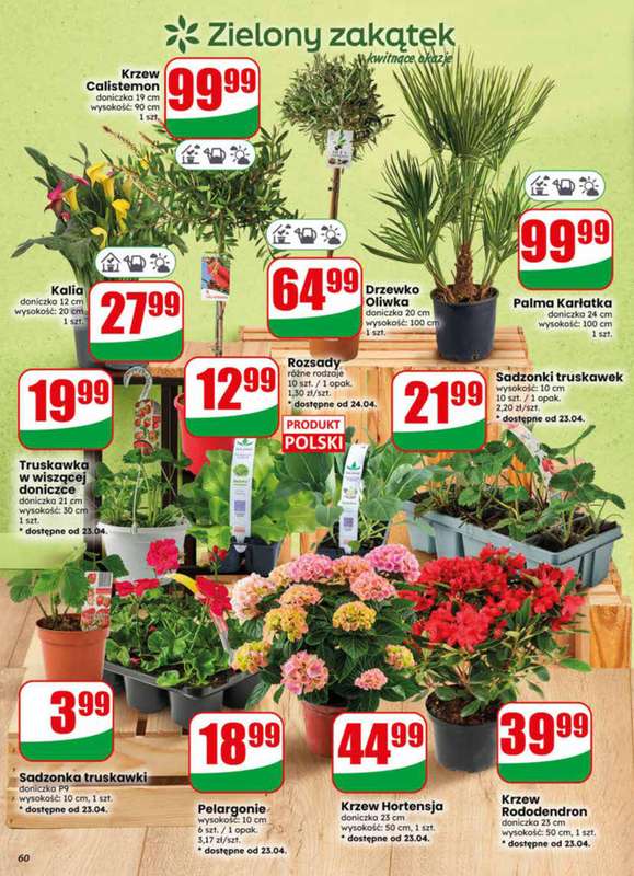 Dino - gazetka promocyjna Gazetka 17 / 2026 od środy 22.04 do wtorku 28.04 - strona 60