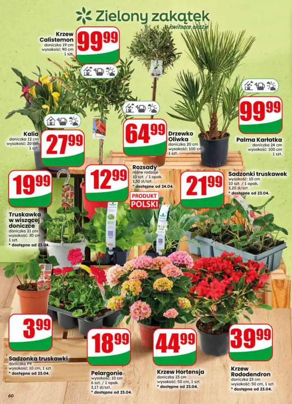 Dino - gazetka promocyjna Gazetka 17 / 2026 od środy 22.04 do wtorku 28.04 - strona 60